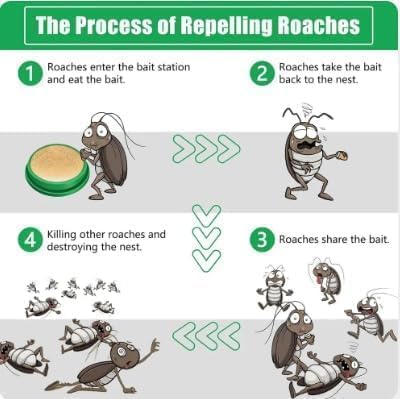 Cockroach Killer Powder Gel (Pack of 24pc)